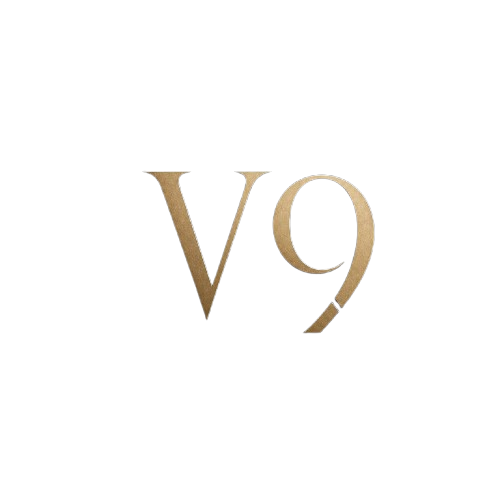 V9 Cyber Security